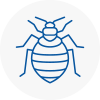 Bed Bug Extermination In Alfreton